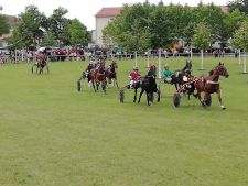 TrabrennenXallgemeinXX2X