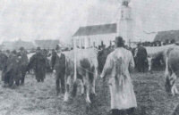 Viehmarkt in Pocking